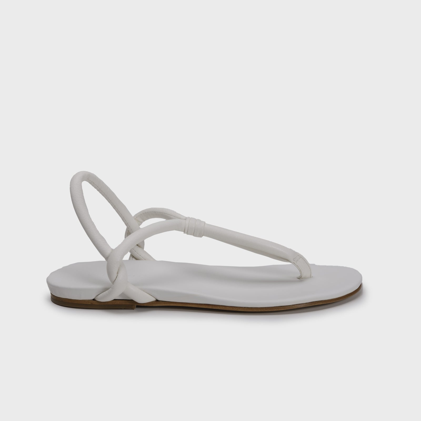 DYTT 10725 - Main Image